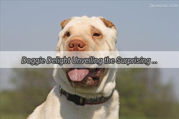 Doggie Delight Unveiling the Surprising Truth About Pooches and Yellow Croaker Crisps